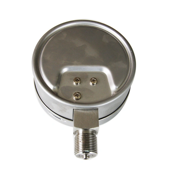 100mm Full Stainless Steel Bottom Type 6kpa Capsule Pressure Gauge